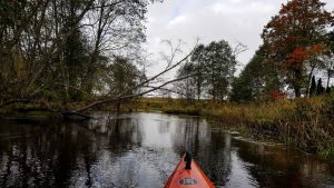 Dar vienas vingis artėja