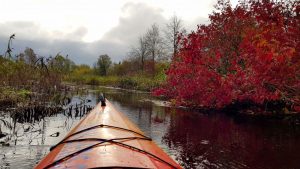 Ruduo jau pradėjo spalvinti Šetekšnos pakrantes