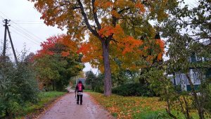 Rytas nors ir lietingas, bet vis tiek spalvingas