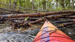Viena iš keturių plaukte neįveiktų kliūčių