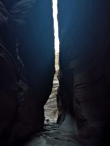 46 balsai. Praplyšo. Remigijus Žilinskas