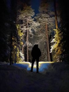 73 balsai. Kastytis Janavičius