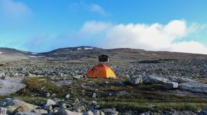 Taip pat 46 balsai. Alternatyva. Saulius Pipiras