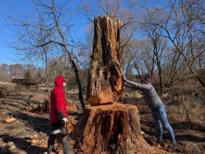 Dar viena psichologinė manipuliacija – nu vyrai, pabandom .