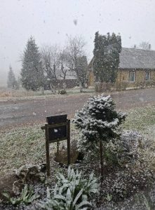 Rytas nepagailėjo baltumos.