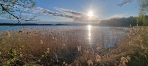 Šalis, kurią beprotiškai myliu.