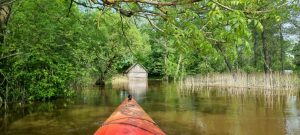 Brendantys iš vandens.