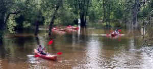 Yriai tarp medžių.