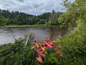 Antrosios nakvynės vieta – man asmeniškai vienoje gražiausių vietų, Kiaulės rėvos pradžioje.