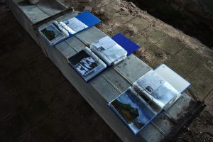 Aplink pasaulį per 5475 dienas.