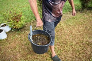 Karvašūdžio mėtymo varžybos tuoj prasidės!