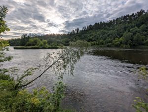 Kiaulės rėva man asmeniškai kelia įpatingą pagarbą. Kiaulės rėva yra net su paršeliais, taip vadinami akmenys rėvos gale.