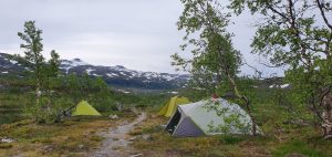 Nakvynė miškatundrėje.