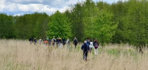 Natūralūs pievų kraštovaizdžiai.
