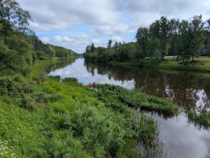 Neris prie Buivydžių.
