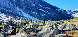 Status leidimasis fiordo link.