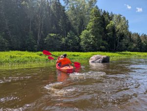 Ties Mažiūlėniškių kaimu, bevardėje rėvoje stukso du dideli 3×3 m akmenys – apskaldyti, bet neįveikti.