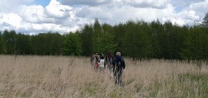 Vietomis augalija stiebiasi virš galvų.