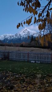 Paveikslas ar realybė