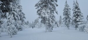 Elegantiškai sninga.