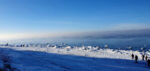 Giliai alsuojanti Baltija rūke.