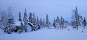 Pallas-Yllastunturi nacionalinis parkas.