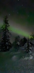 Pašvaistės uodega.