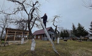 Lietuviškasis Dzeusas Irmantas.