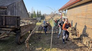 Malkautojų grupuotė.