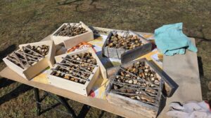 Viešbučių statybos pabaiga.