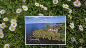 Lahemmaa nacionalinis parkas – Mindaugas, Aurelija, Lina, Sabina ir Dalius.