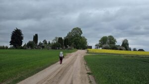 Lygumų etapas.