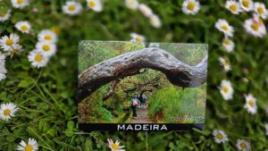 Madeira – Sabina.